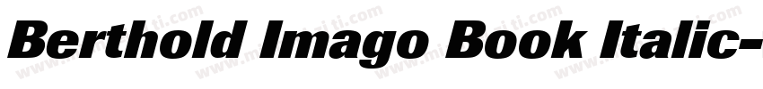 Berthold Imago Book Italic字体转换